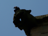 Old church gargoyle with crow